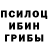 Галлюциногенные грибы Psilocybe Hepp1K